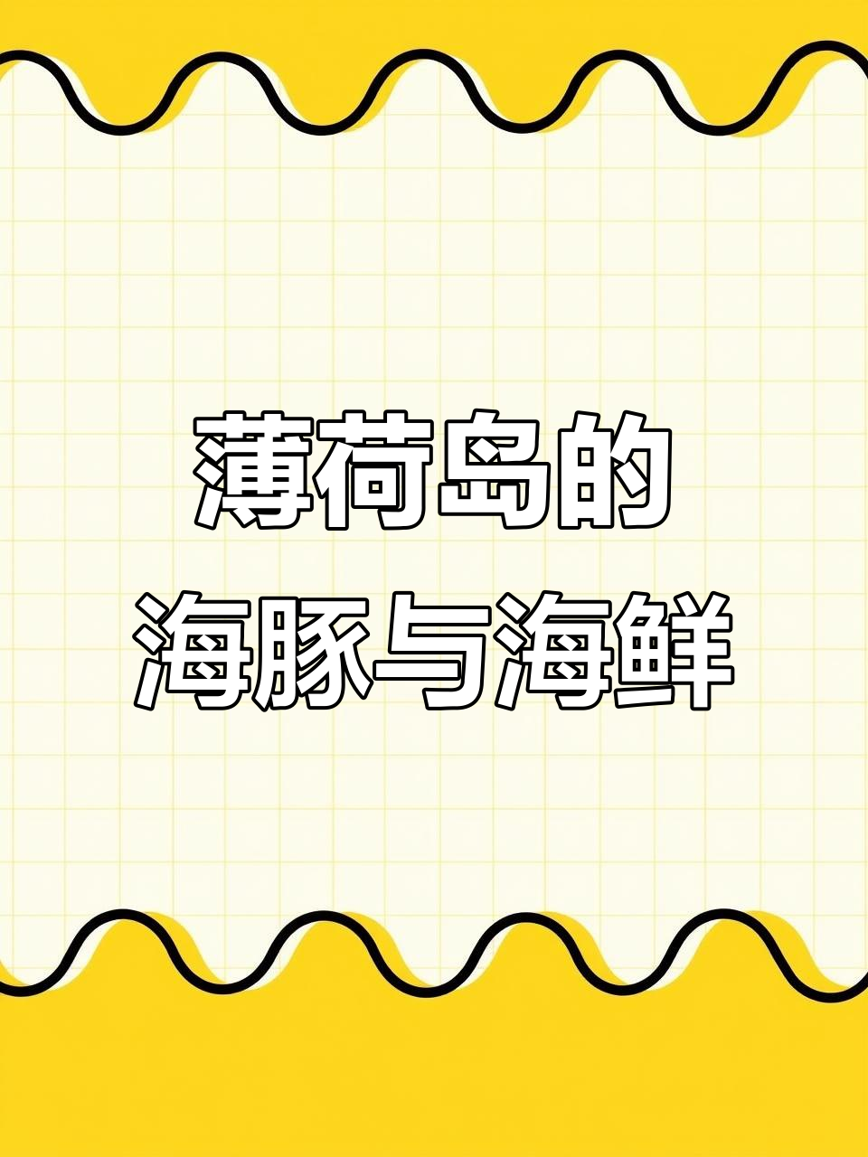 薄荷岛之旅:追海豚、看沙丁鱼风暴,体验海底奇观