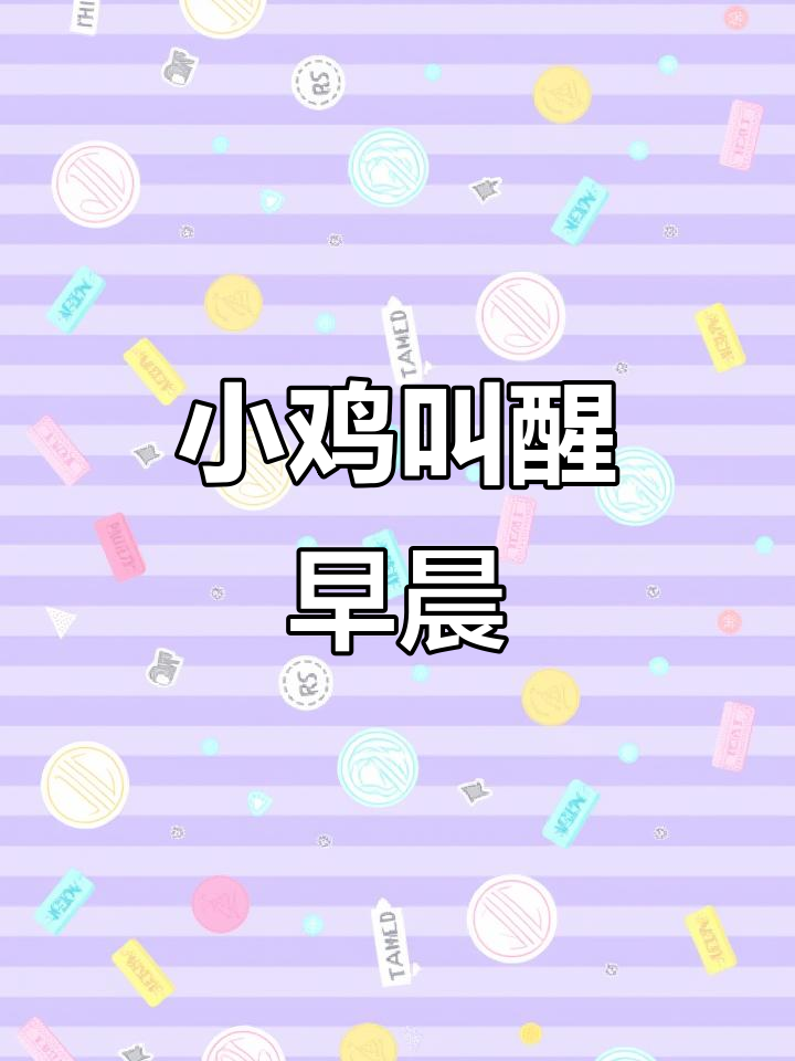 清晨的咕咕鸡,叫声唤醒家人