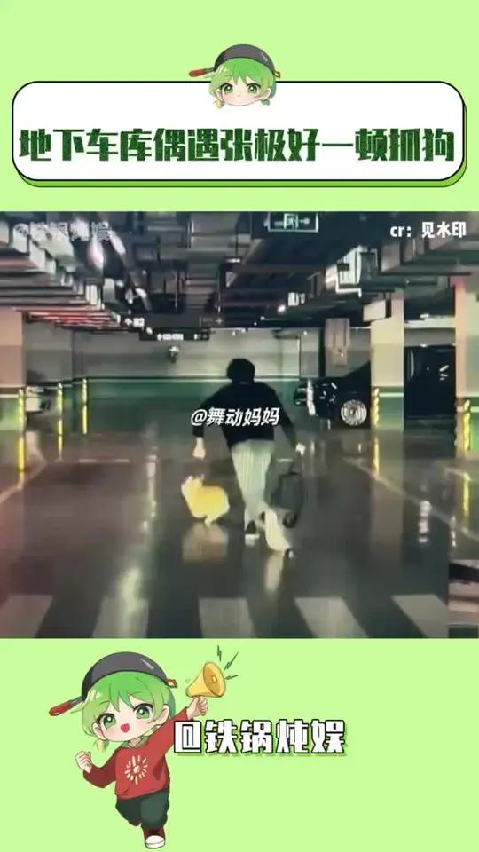 张极：好狗狗快回来，我保证不打你 