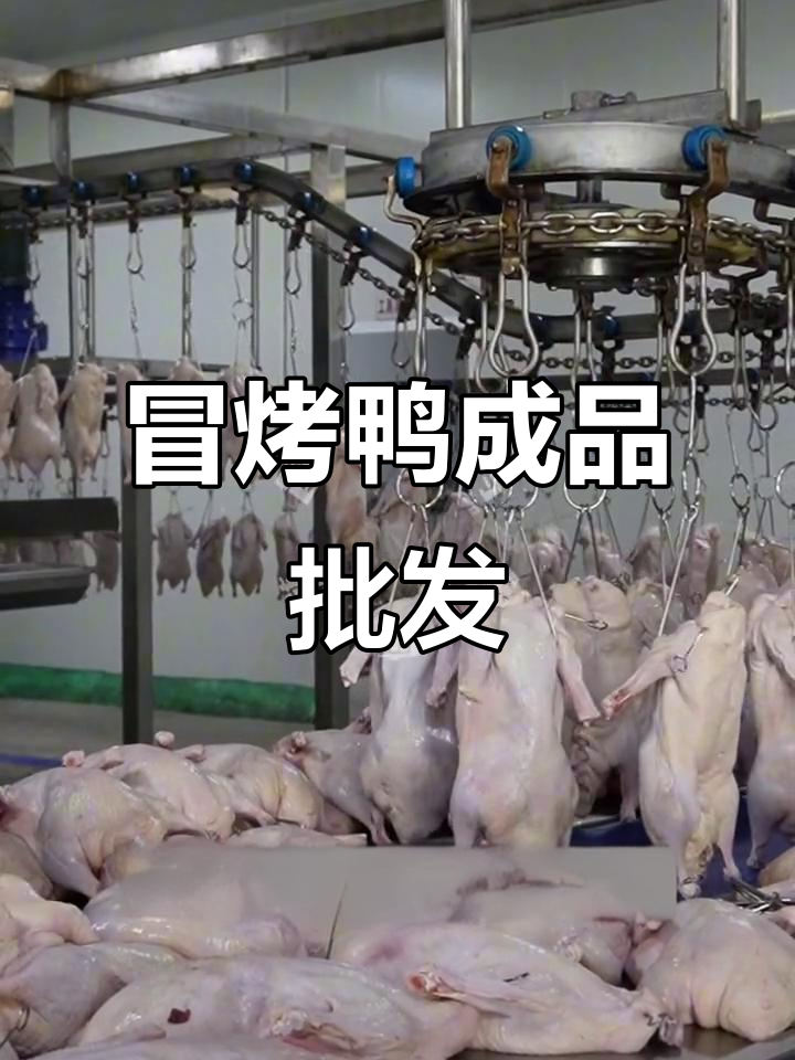 冒烤鸭供应链,轻松开店拿货批发价格表