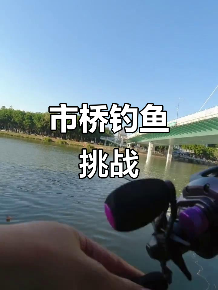 溪红虫钩钓大眼华鳊,市桥江边惊现青鱼!