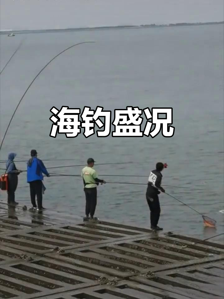 天津钓鱼热潮,各路高手齐聚,海钓黄金时间不容错过!