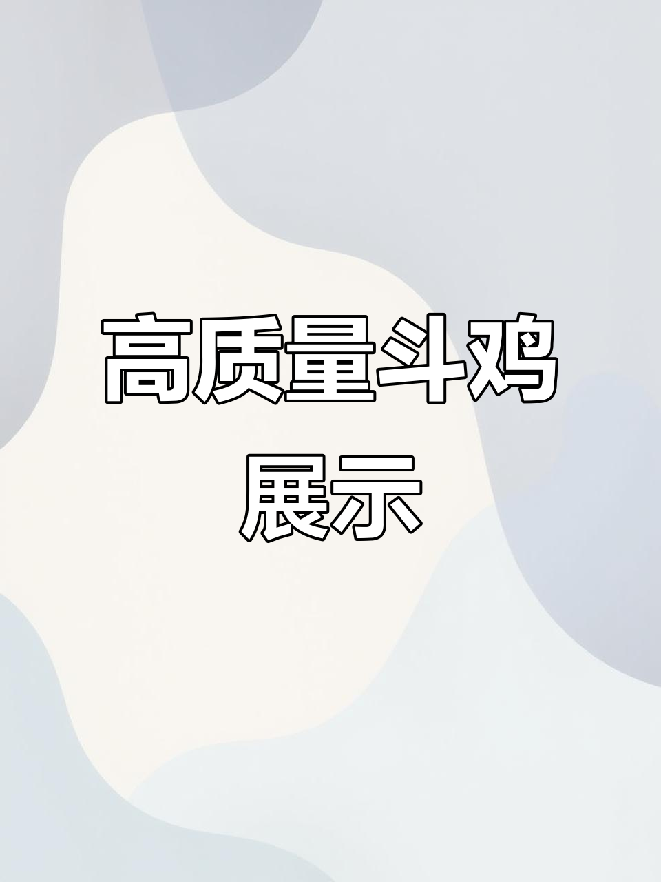 越南斗鸡养殖:高质种公,体重8.2斤,花虎脖子粗壮有力