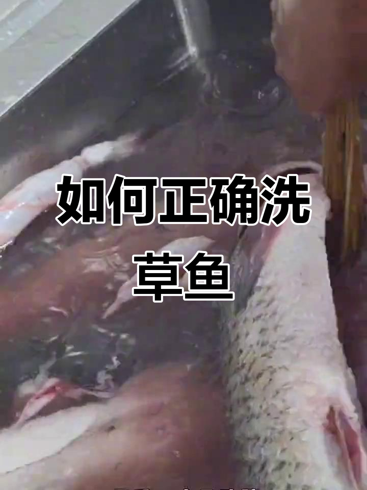 草鱼清洗技巧大揭秘,轻松去除粘液和血水