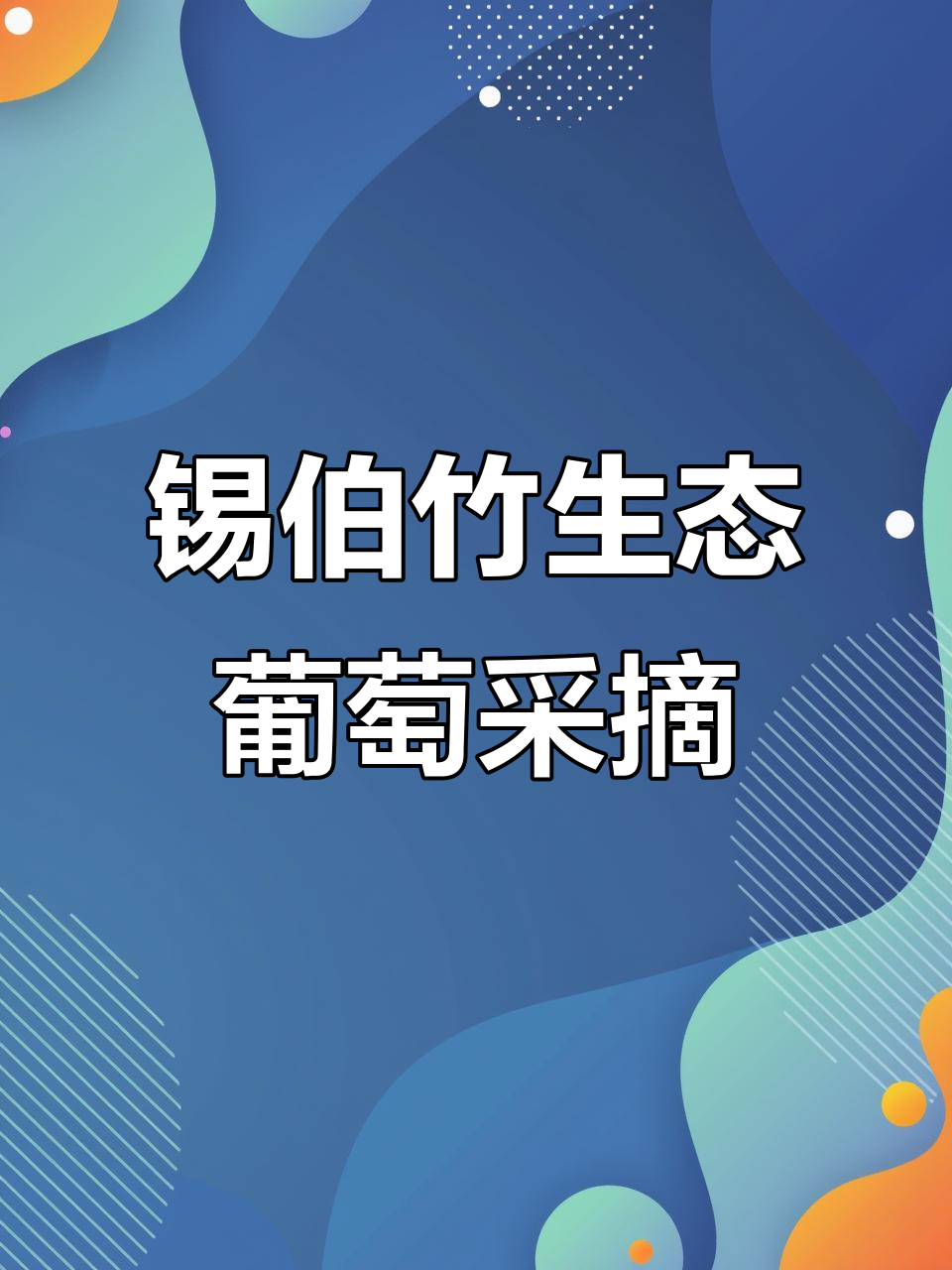 沈阳锡伯族生态葡萄园:光辉品种自然成熟,甜度高