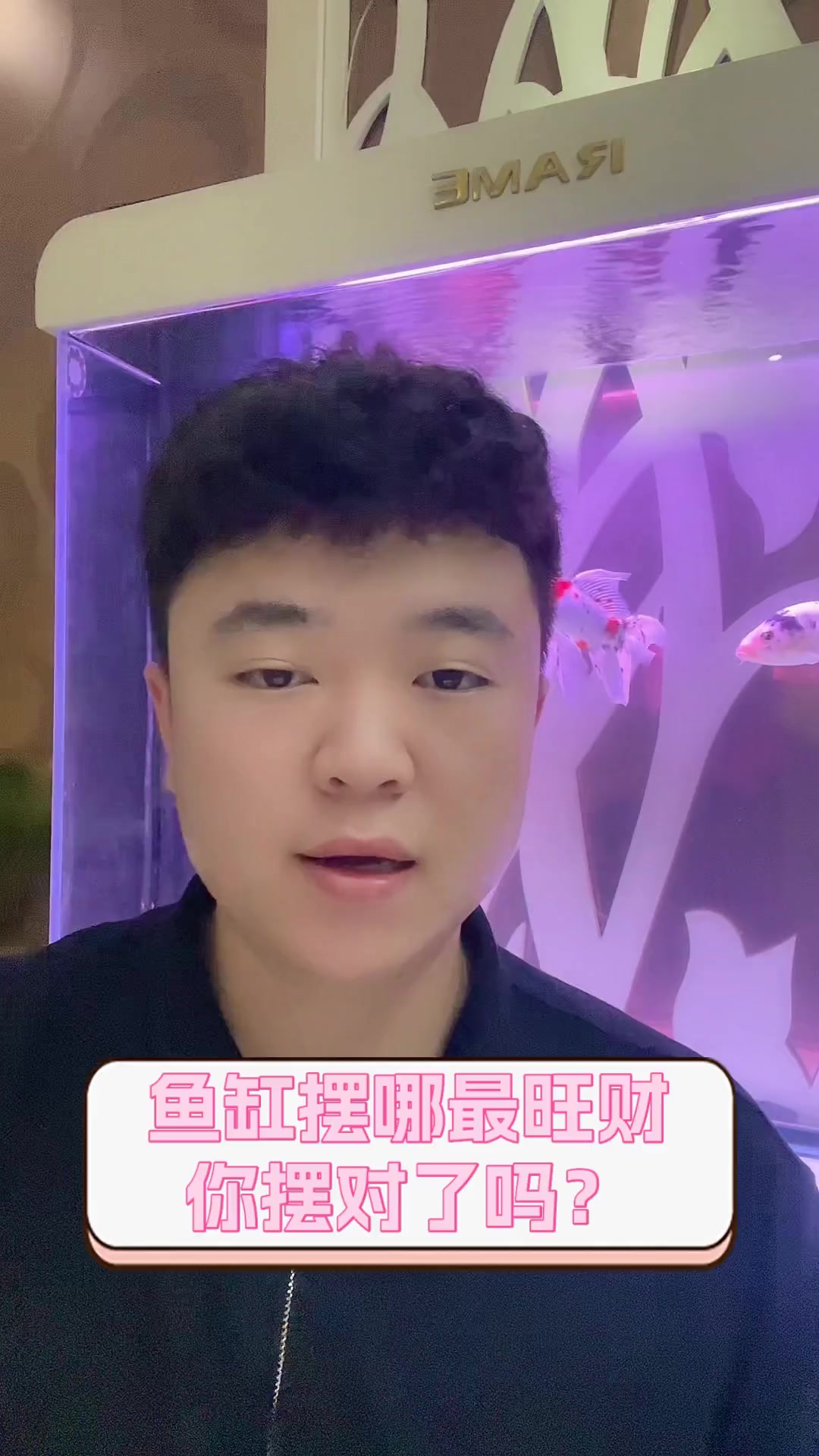 鱼缸摆哪最旺财,你摆对了吗?