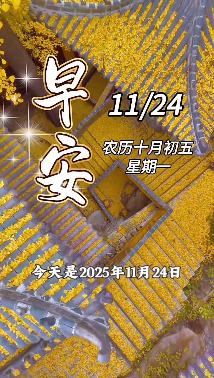 今天是2025年11月24日，农历十月初五，星期一，走自己的路，爱自己的生活！早安！早安心