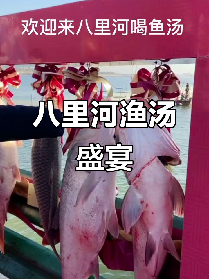 八里河捕鱼节:喝汤吃肉,体验乡村美味
