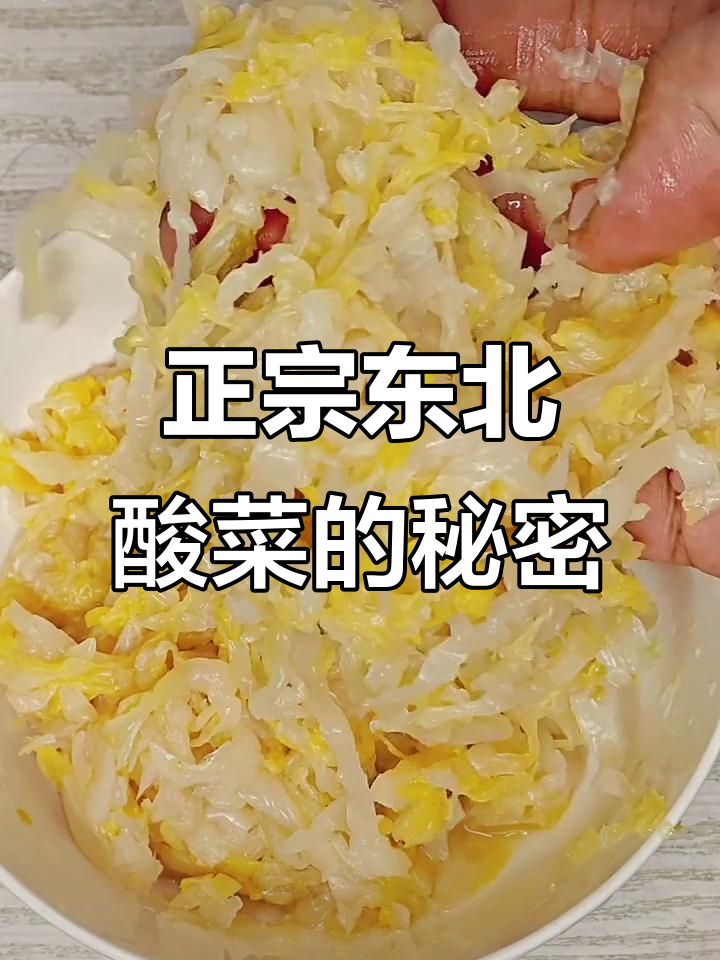 东北酸菜大揭秘:这包丑但好吃的酸白菜,炖排骨火锅都超赞