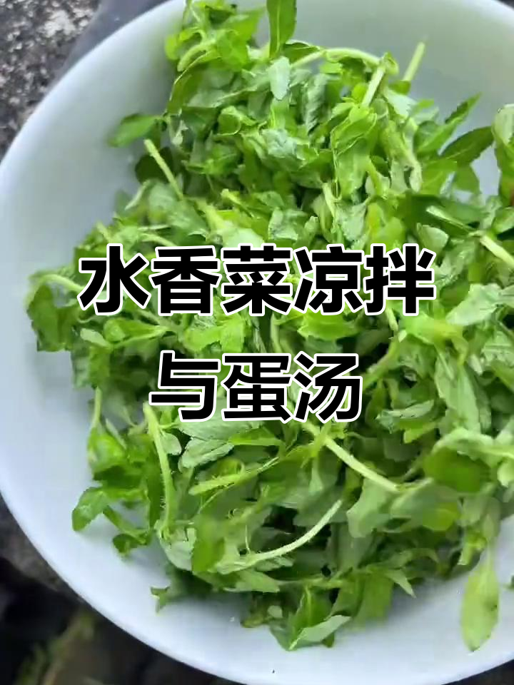 云南野生水香菜,凉拌清爽又美味,鸡蛋汤做法超简单