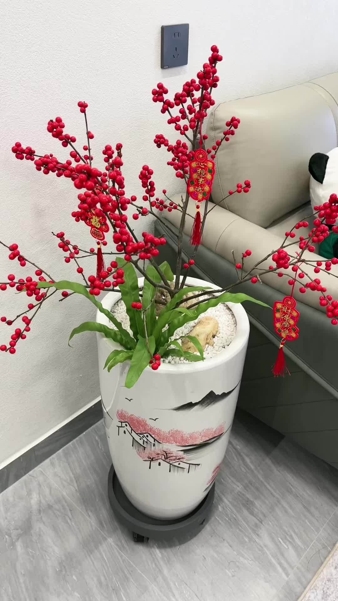 年宵花 乔迁新居盆景 花开富贵好运来 新年装饰花摆件 北美冬青
