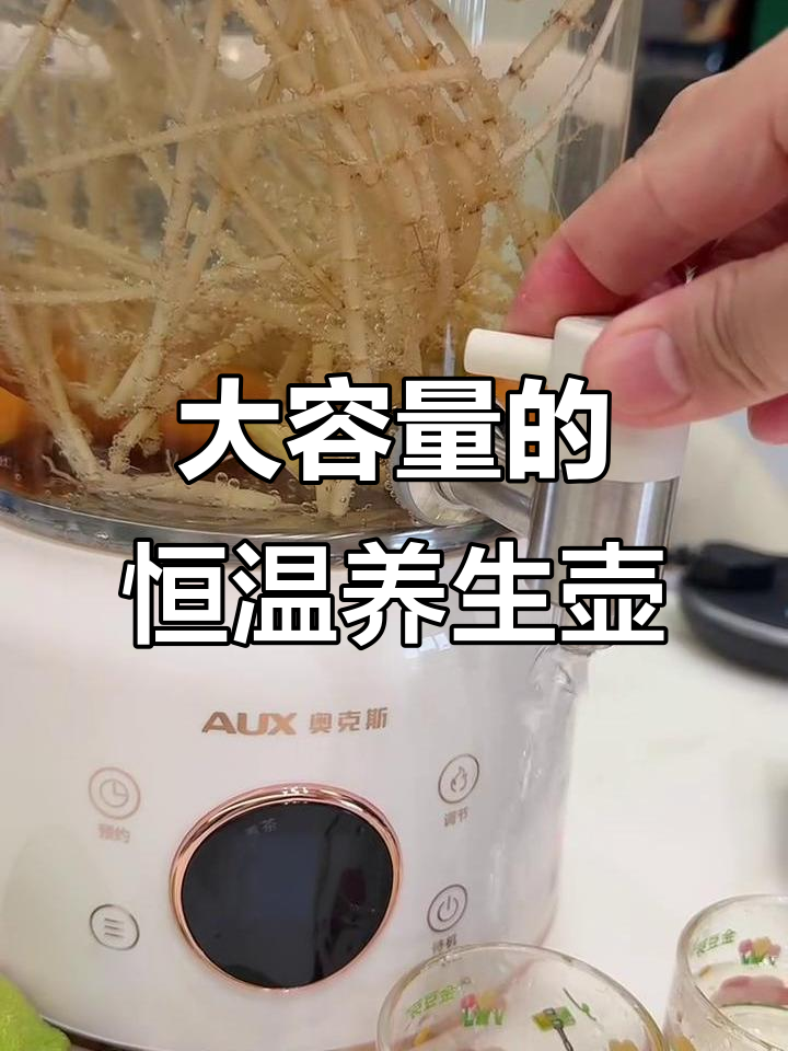奥克斯养生壶:恒温煮茶器,炖汤一体大容量