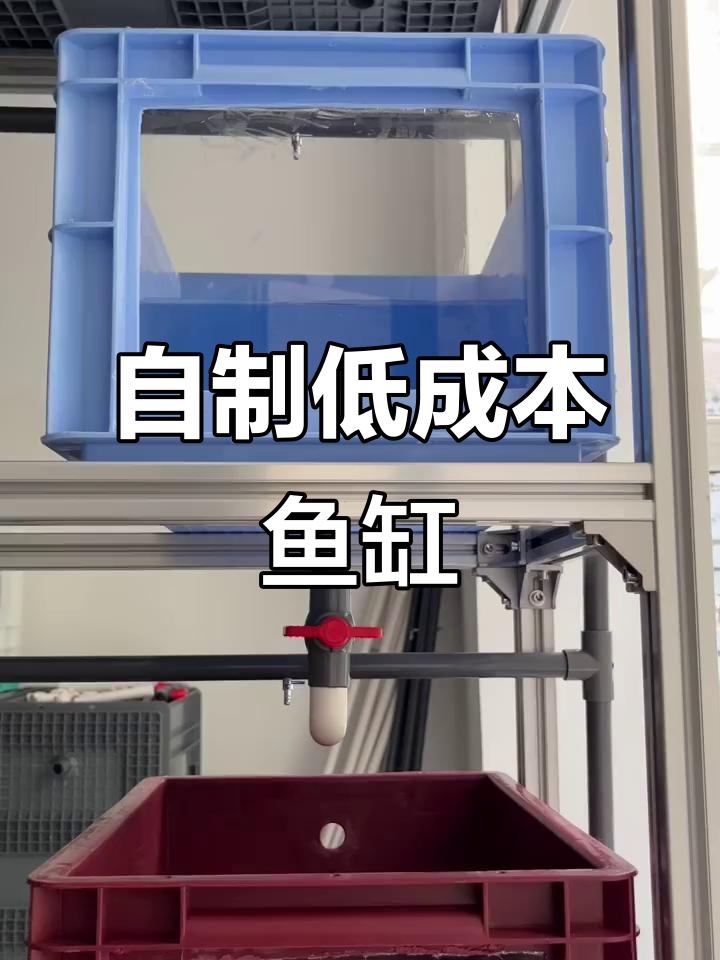 低成本周转箱鱼缸制作教程，简单步骤搞定不漏水