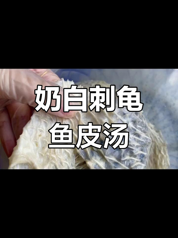 刺龟鱼皮与猪排骨的完美炖汤
