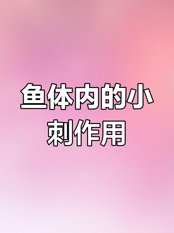 鱼刺背后的秘密:它们为何存在?
