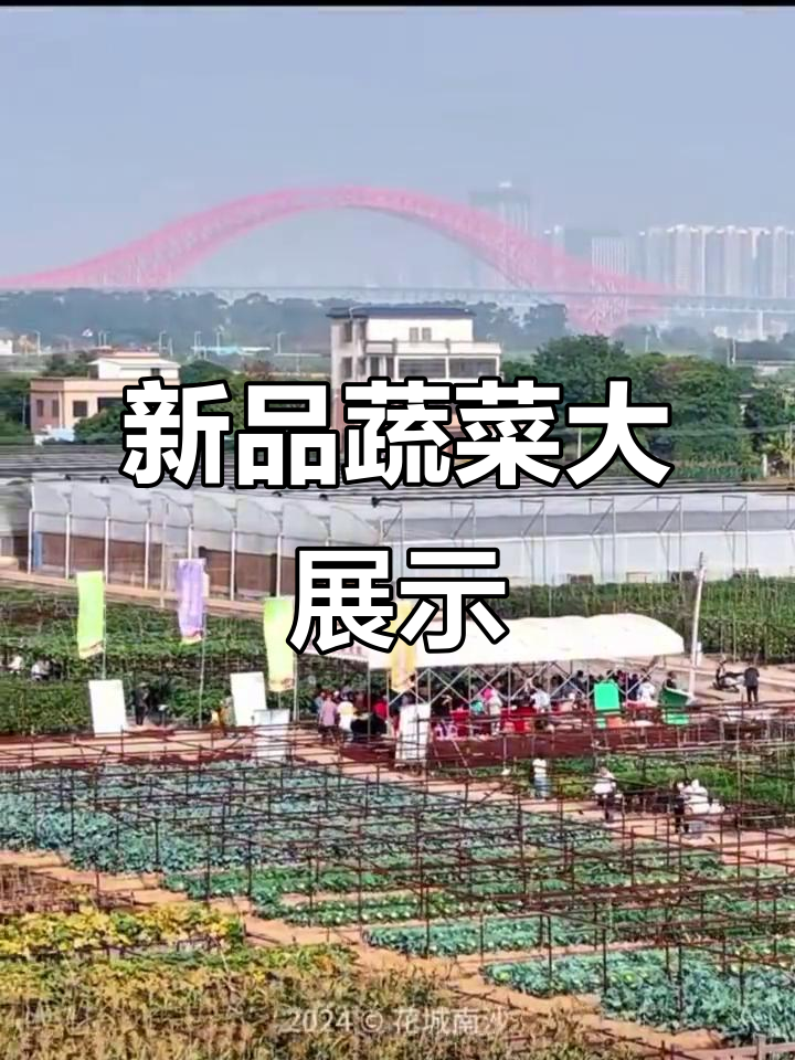 5月27日广州蔬菜新品种展,1300余种亮相预约开放