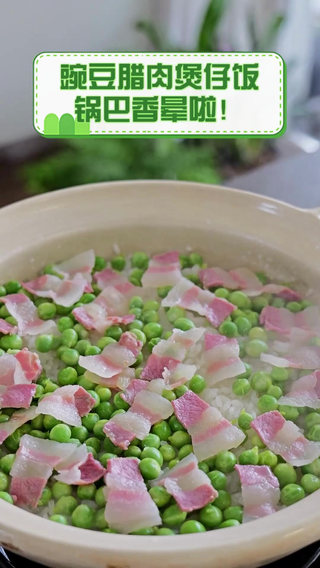 豌豆腊肉煲仔饭,锅巴香晕啦!