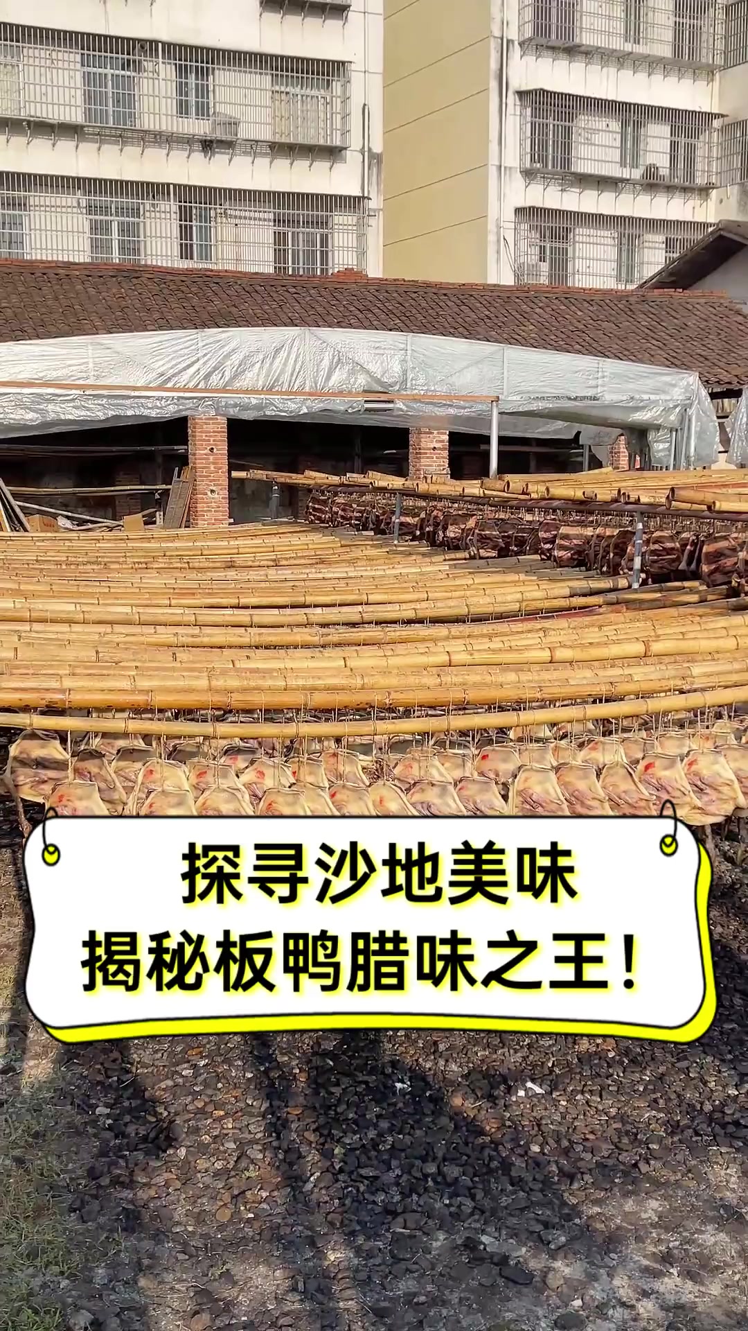 探寻沙地美味,揭秘板鸭腊味之王!
