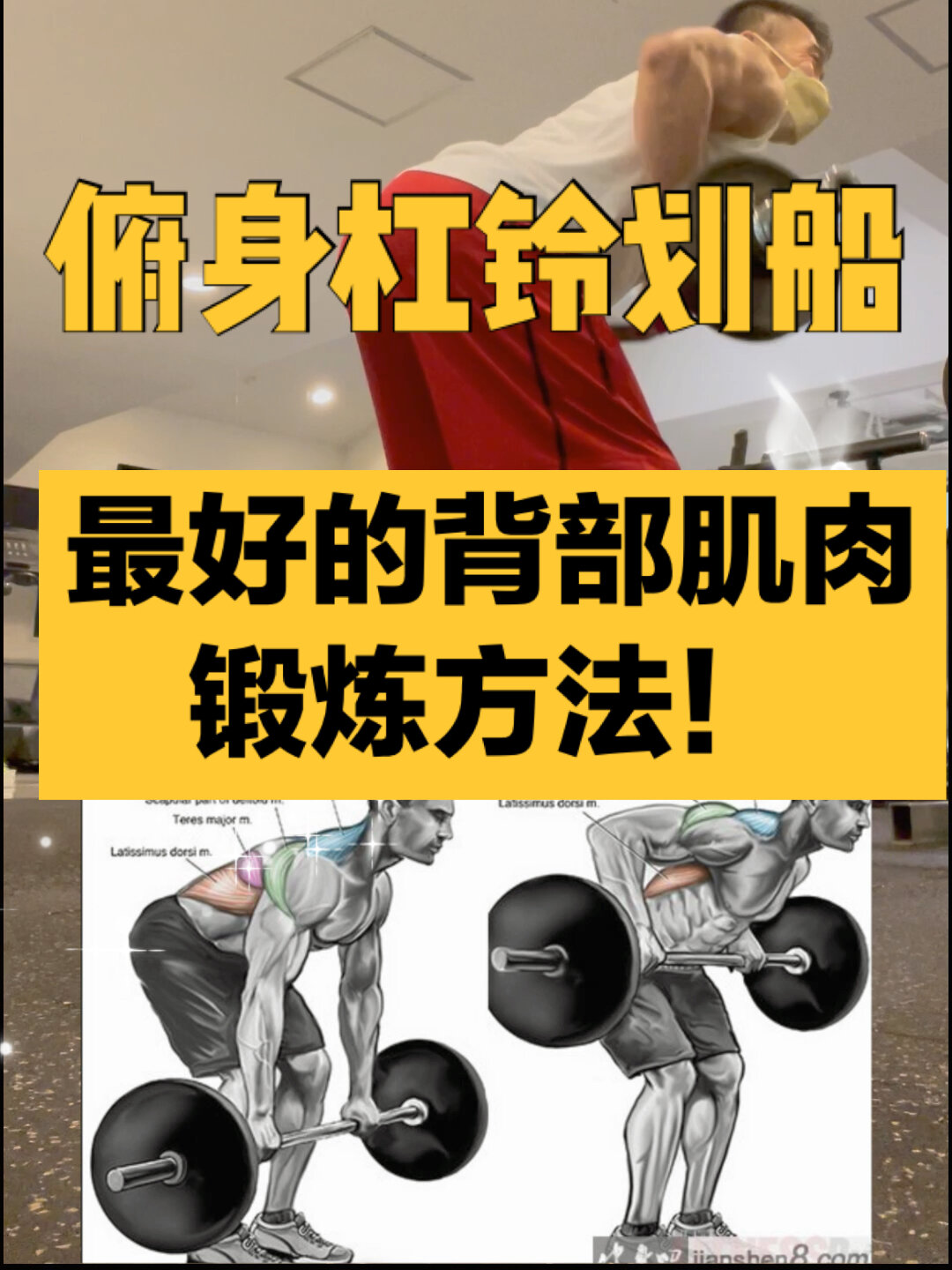 俯身杠铃划船——最好的背部肌肉锻炼方法!