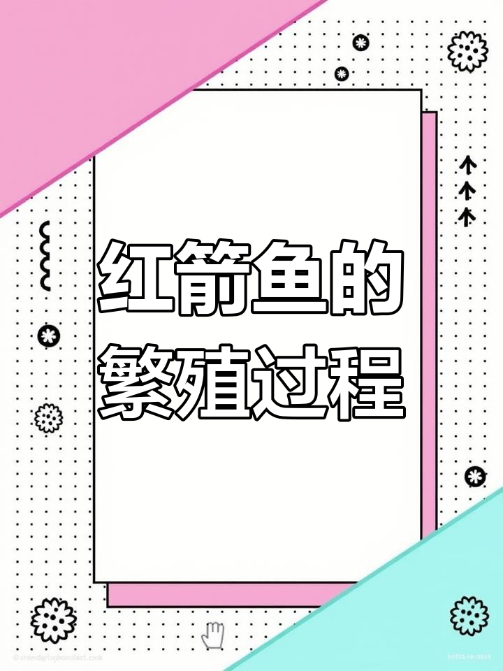 红剑鱼繁殖与性别反转揭秘