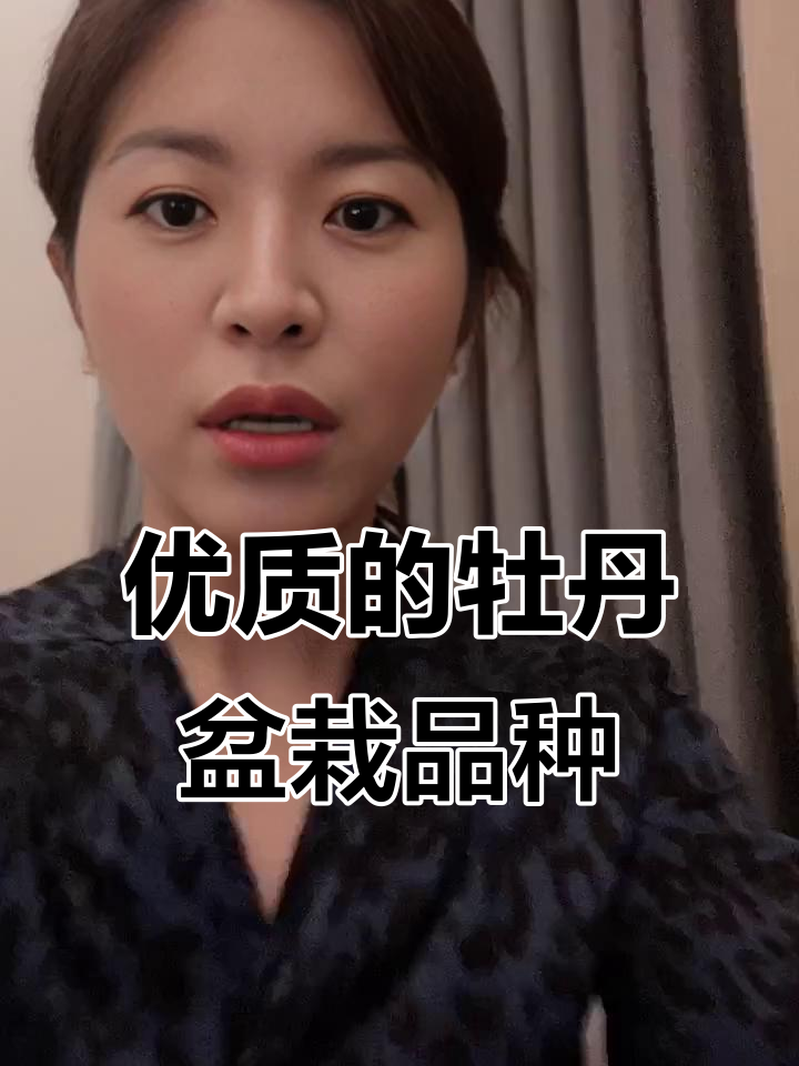 牡丹盆栽花期调控技巧,如何选择优质品种