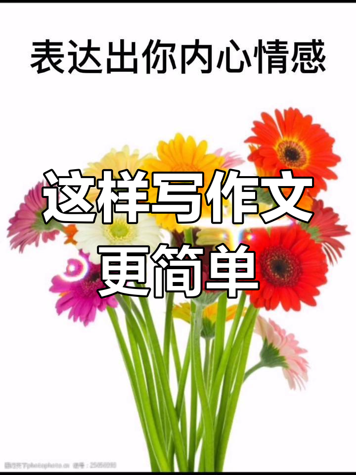 零基础写作技巧:从菊花开始,轻松提升作文水平