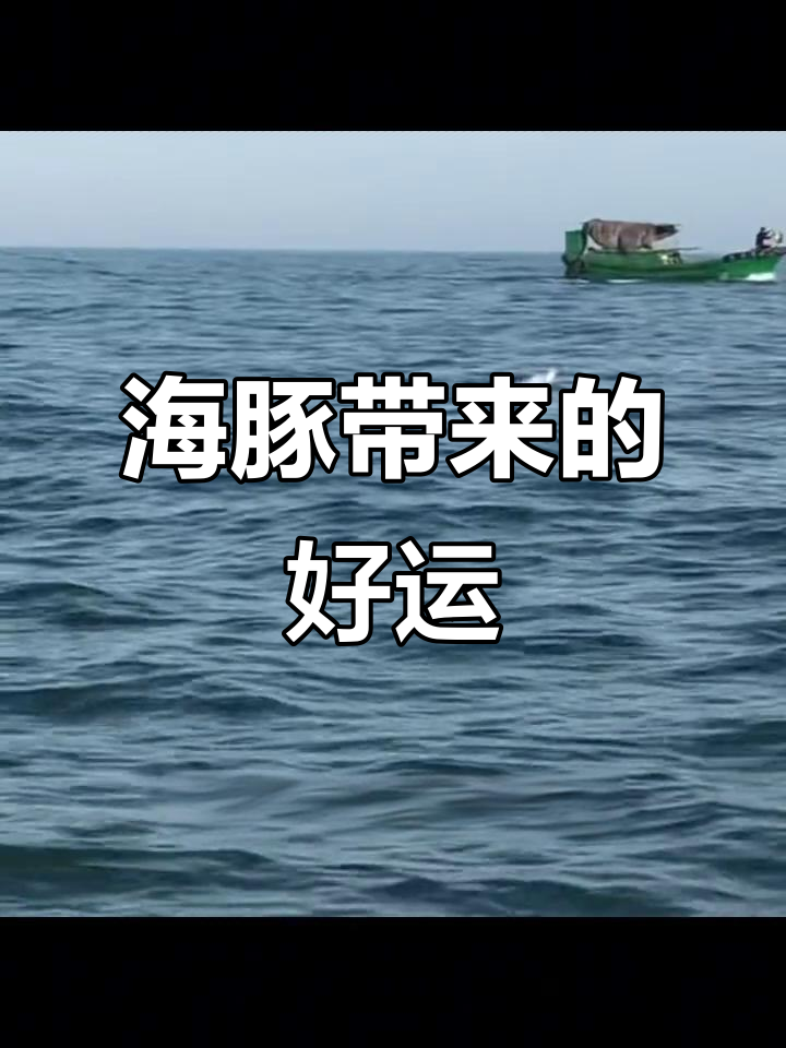 兄弟们,告别钓鱼,转而追寻海豚的幸运!