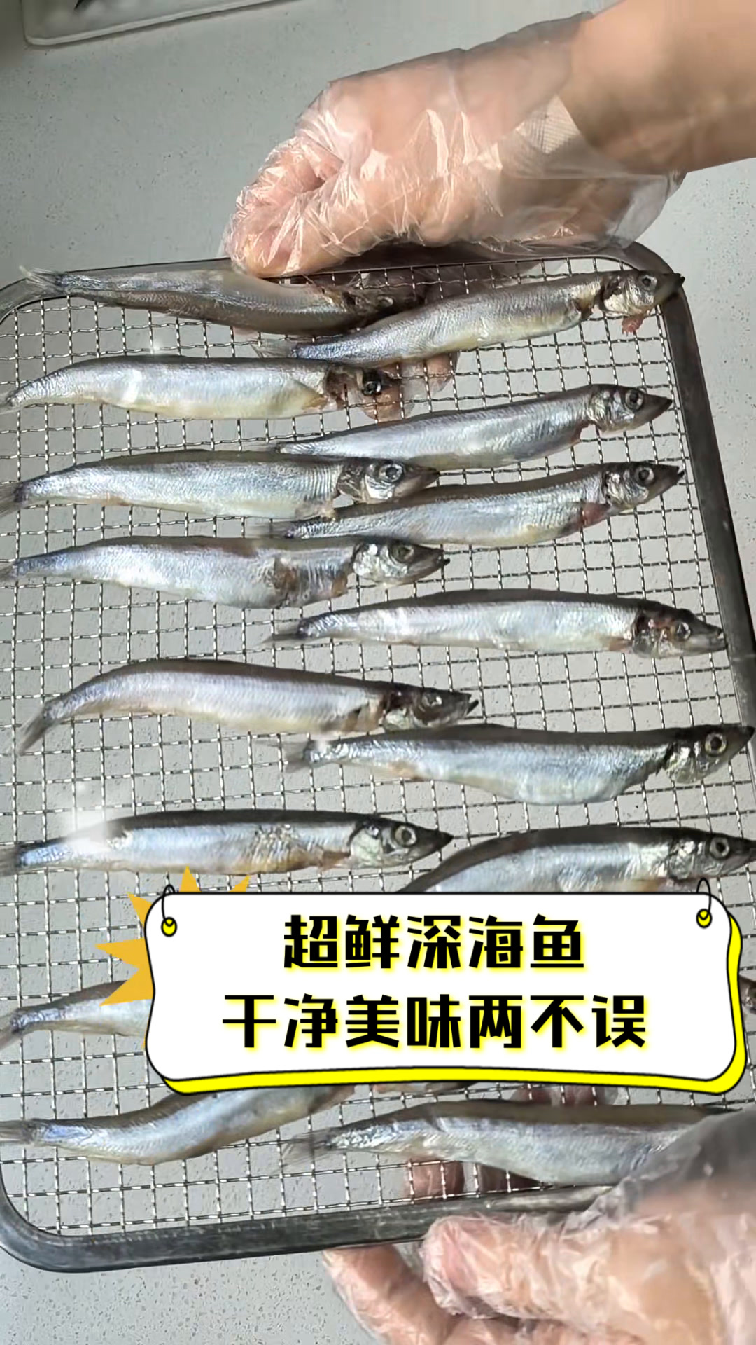超鲜深海鱼,干净美味两不误