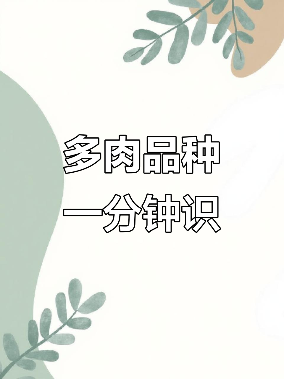 一分钟学会多肉品种识别,轻松掌握常见名称