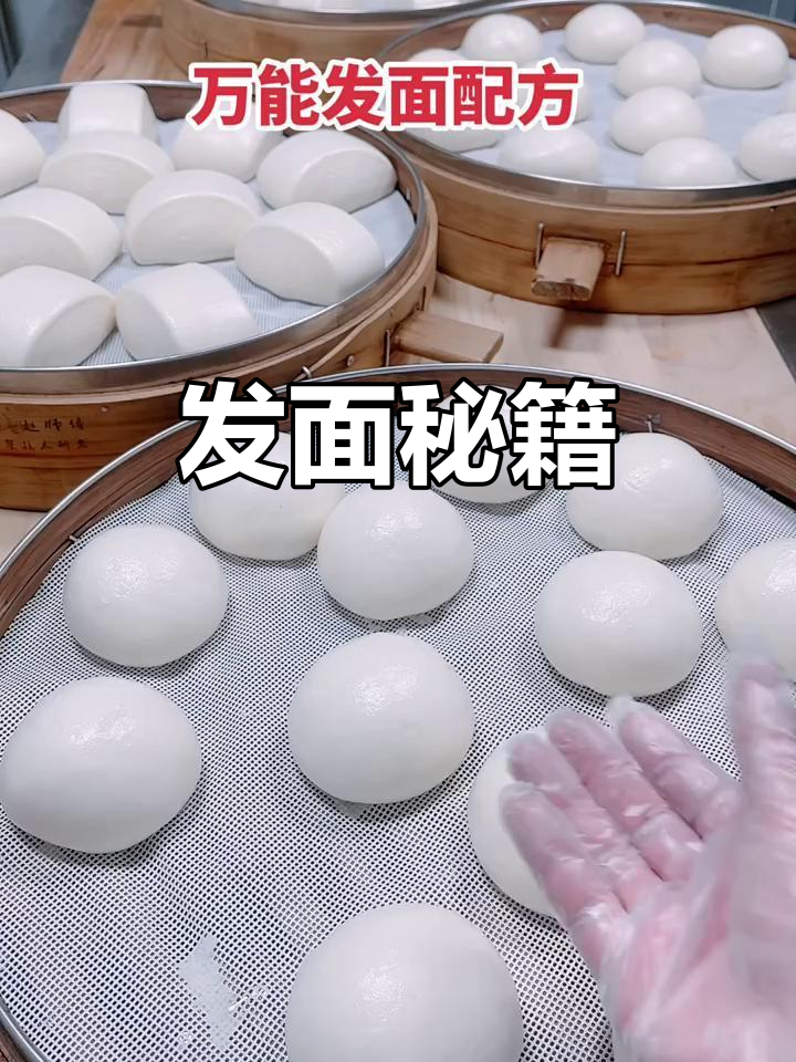 包子馒头秘诀:酵母、老面与改良剂完美搭配