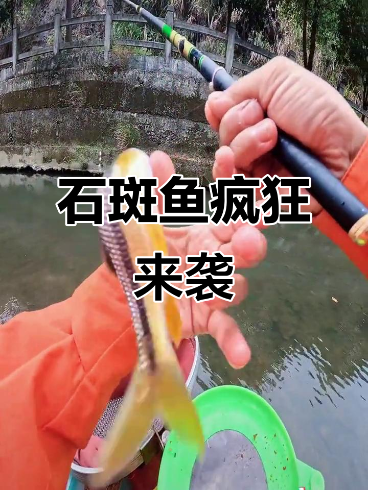 冬季石斑鱼狂拉,溪流钓的乐趣无穷