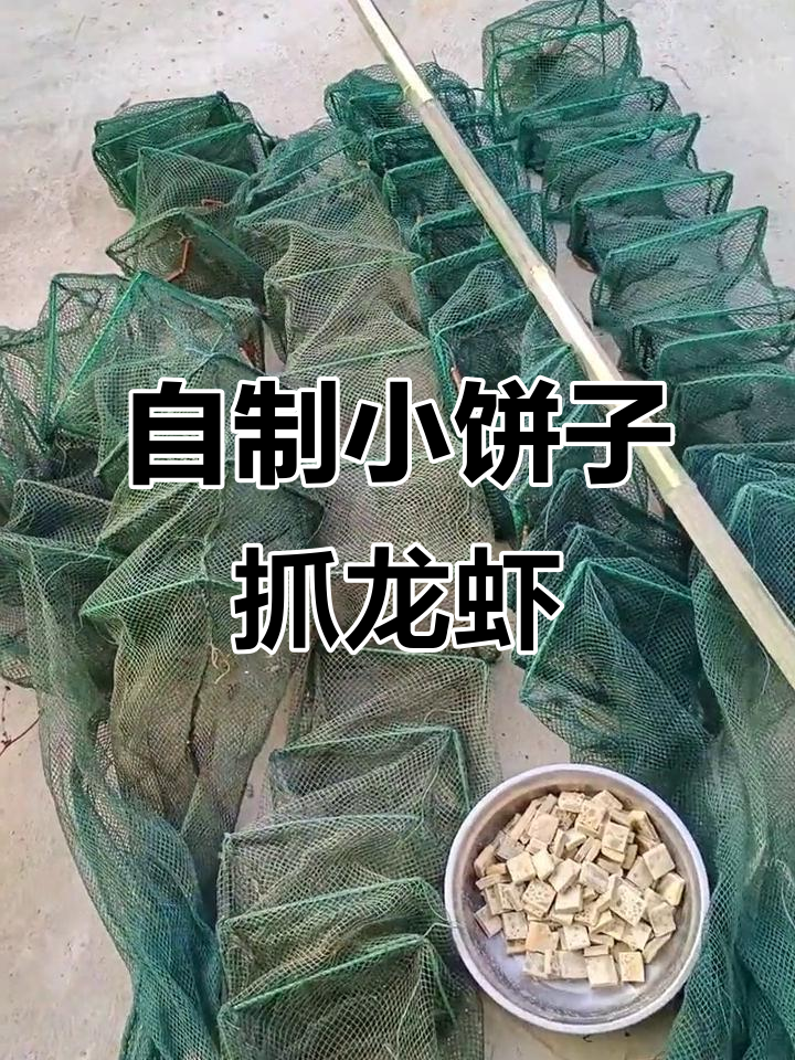 女粉丝自制小饼子诱捕龙虾,五个网下河捞虾