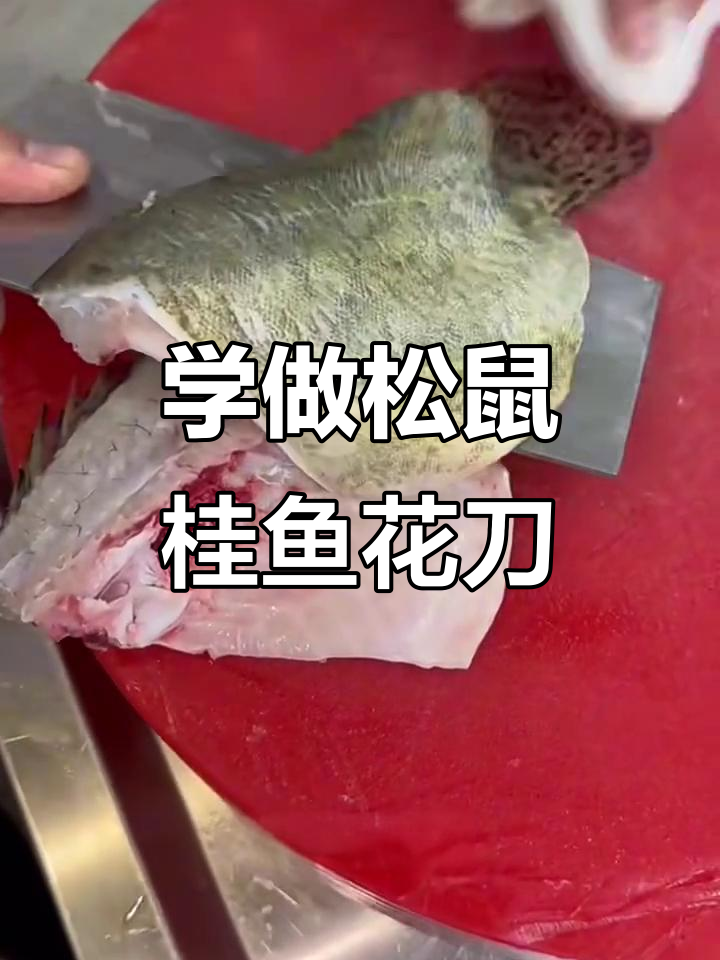 松鼠桂鱼切法全攻略,教你轻松去骨取肉