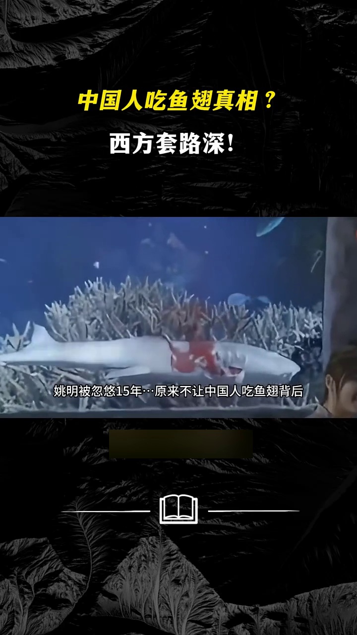 鲨鱼被割鳍还能活多久？为啥人类不吃鲨鱼肉？