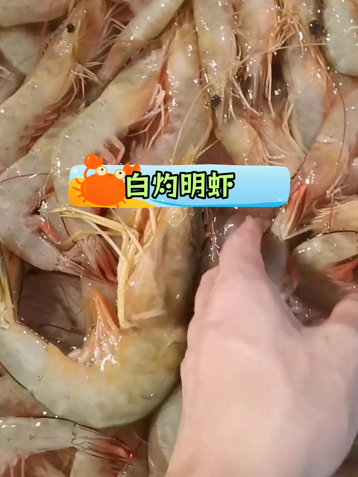 新鲜明虾白灼吃法,原汁原味蘸酱油