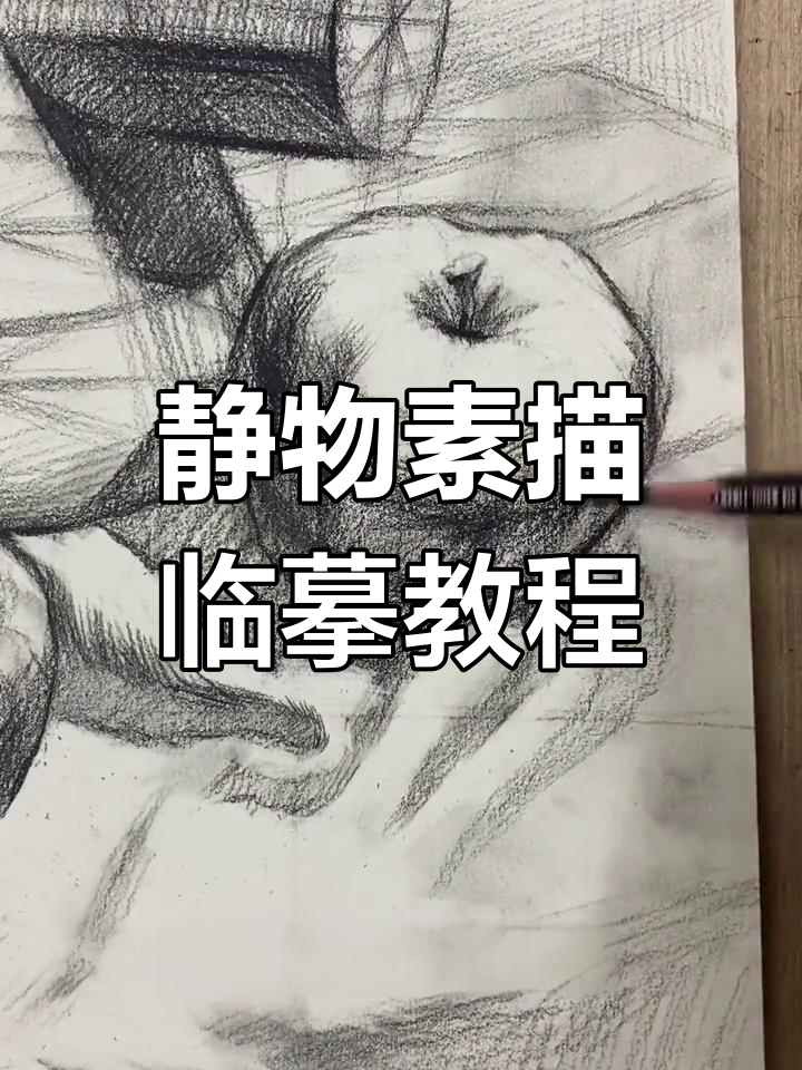 静物素描技巧:从苹果到结构分析,一步步教你画得更精准