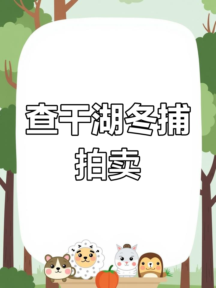 查干湖冬捕头鱼拍卖,价格惊人现场直击