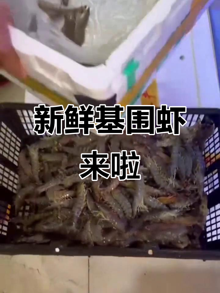 鲜活基围虾到货,季节美味不容错过