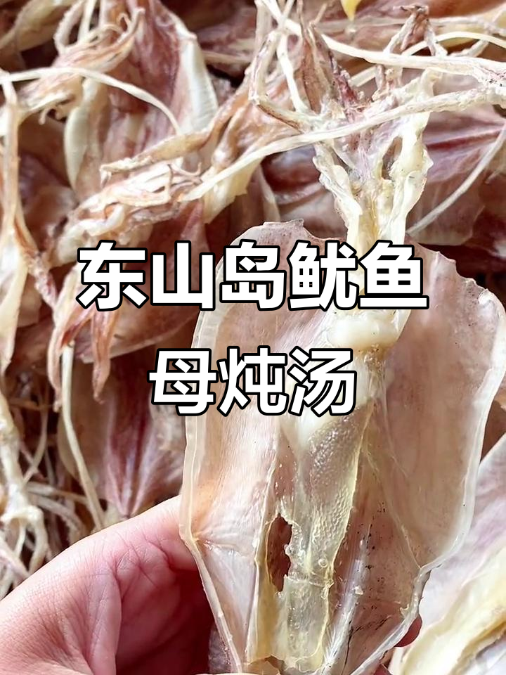 福建东山岛鱿鱼母,炖汤煮粥鲜美滋补,营养满满