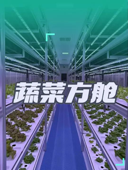 蔬菜种植集装箱 在蔬菜集装箱植物工厂中,我们通过科技的力量,将种植过程从传统的土地转移到了