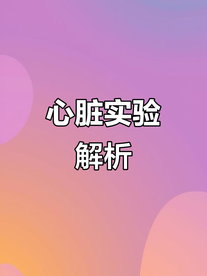 猪心解剖,理论与实践碰撞,知识大提升!