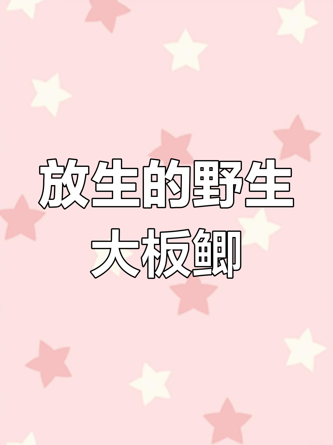 钓到大板鲫,直接放生!钓鱼人幽默自嘲