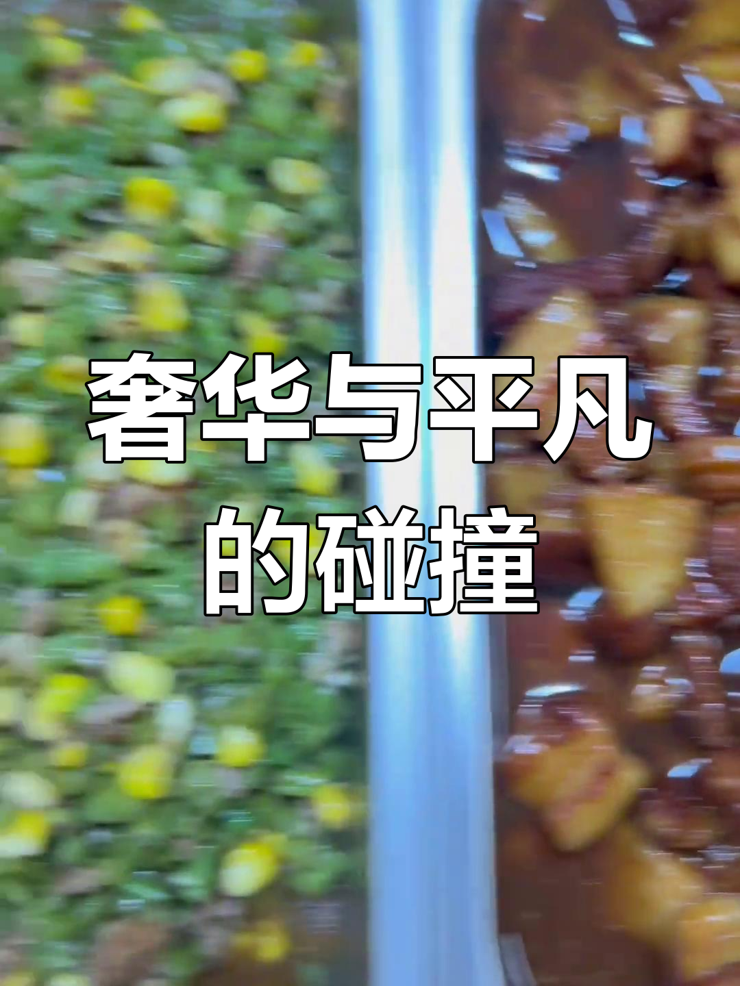 豪华区饭菜竟是家常味,价格惊人!