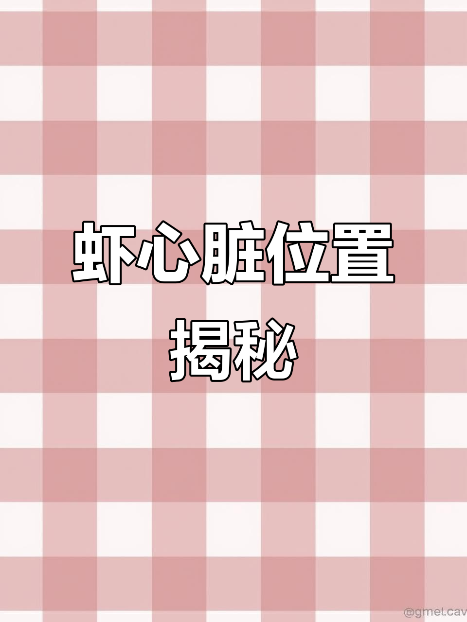 虾的心脏竟然在这里,真让人意外!