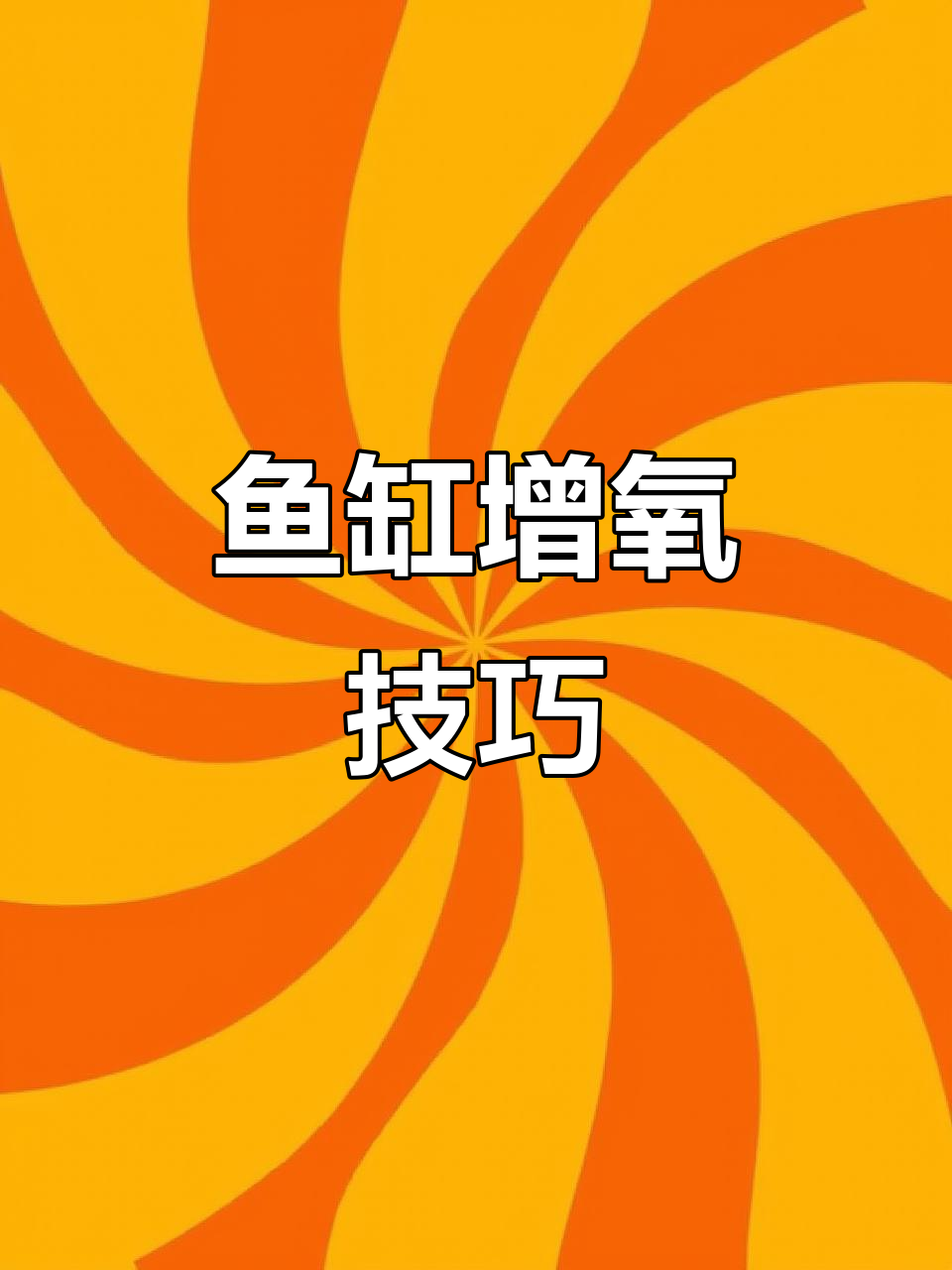 鱼缸增氧必备：气泡石、气盘与氧气泵全解析