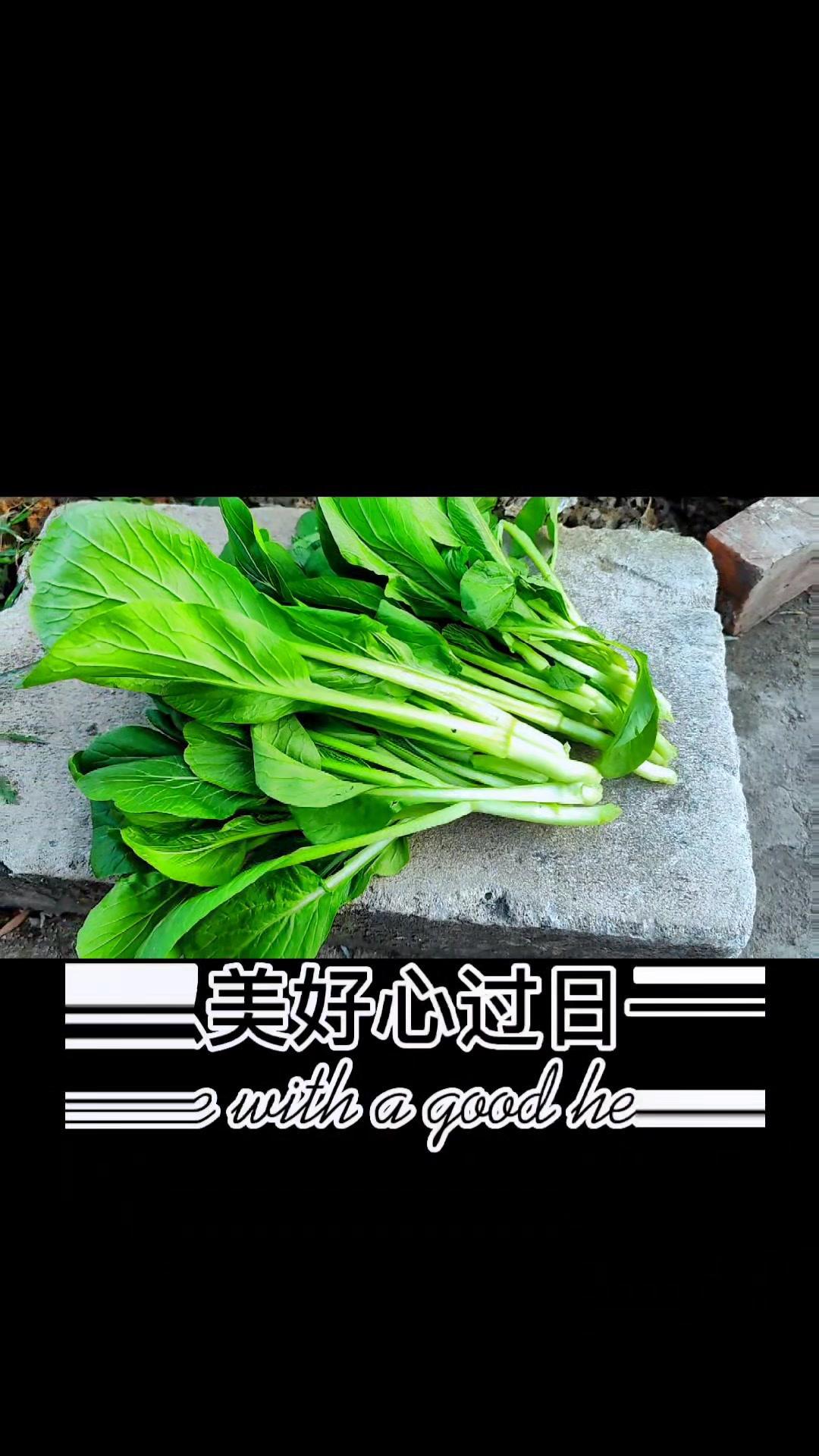 自己种的纯天然的绿色蔬菜 一份耕耘一份收获 秋天是收获的季节 生活不止诗和远方,还有你意想