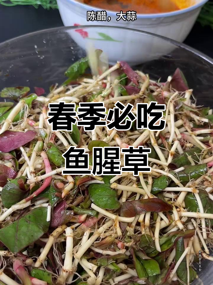 春天不吃鱼腥草,试试这道美味凉拌菜!