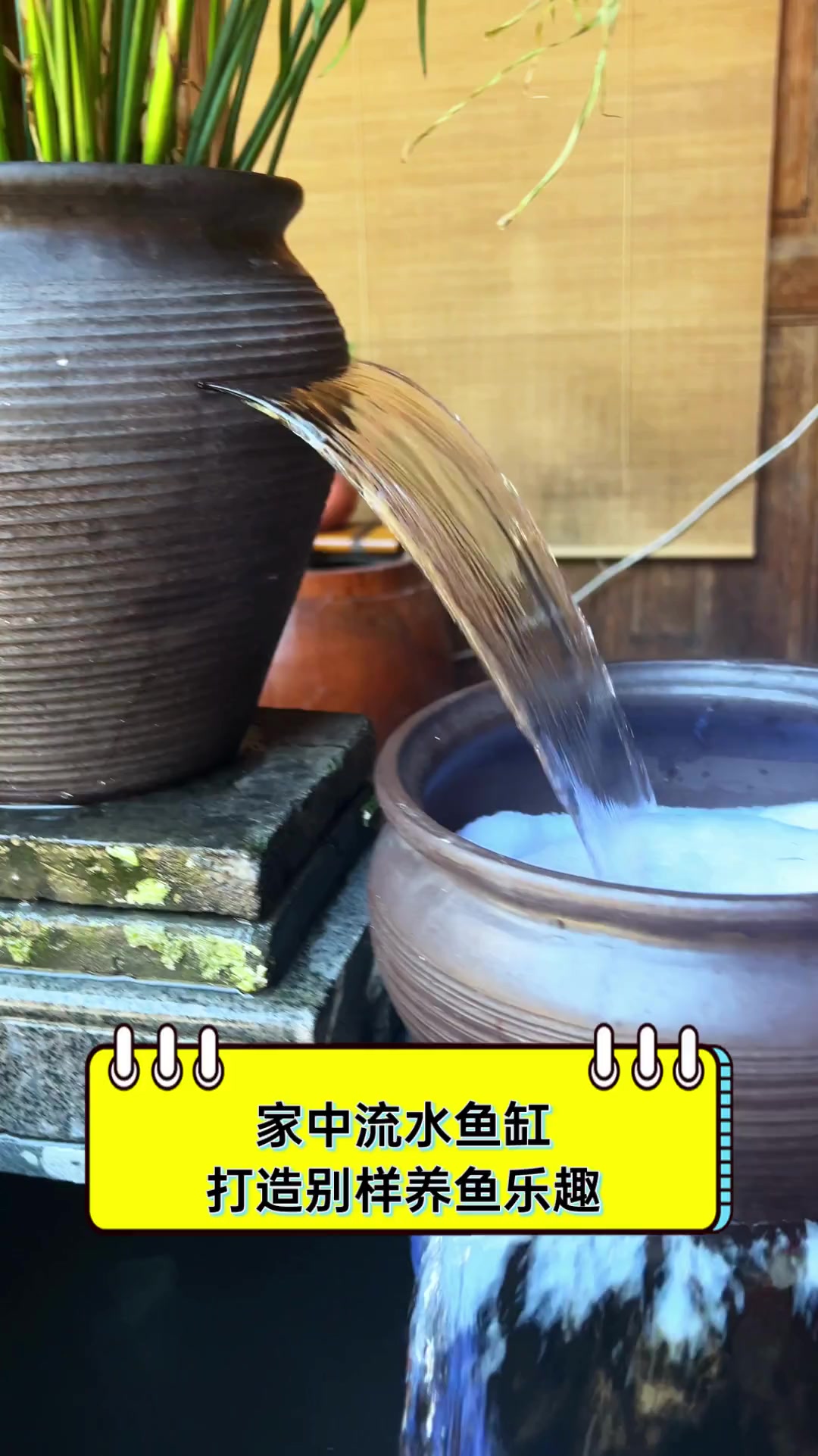 家中流水鱼缸,打造别样养鱼乐趣