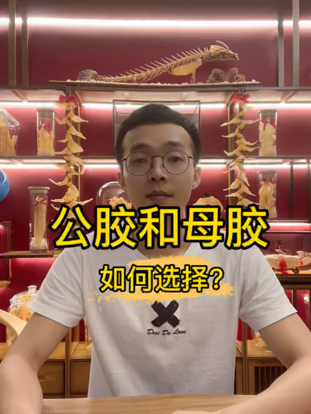 公胶母胶如何选择