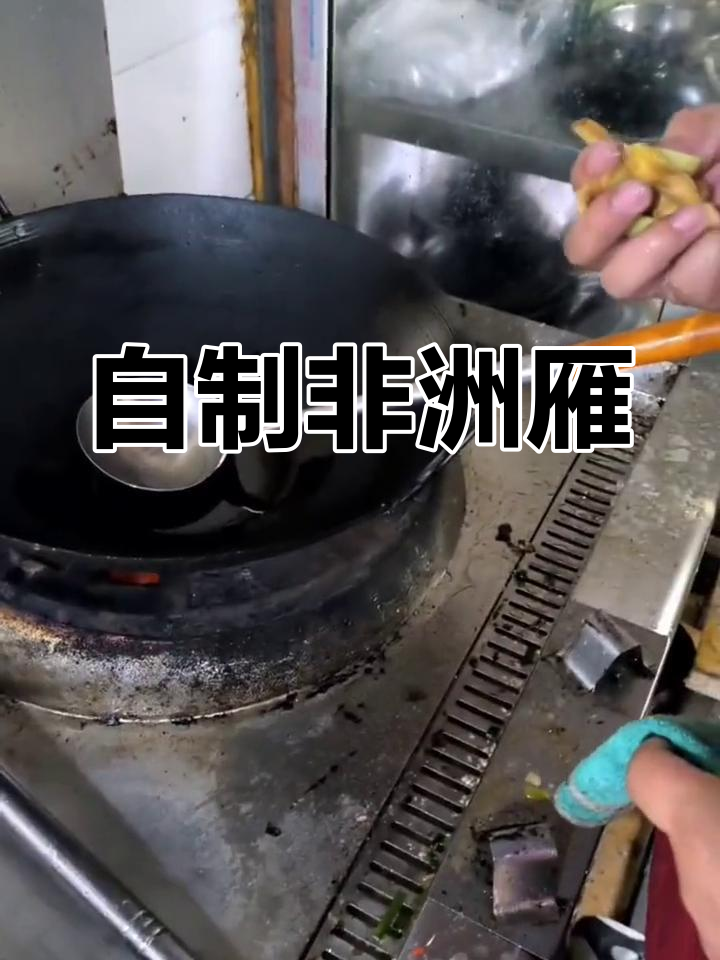 自家熬炒非洲雁,做法全揭秘